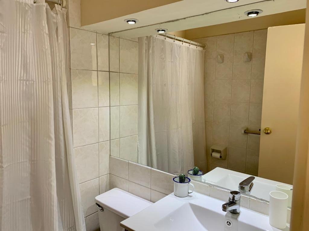 Apartamento Departamento Barrio Bellas Artes Santiago